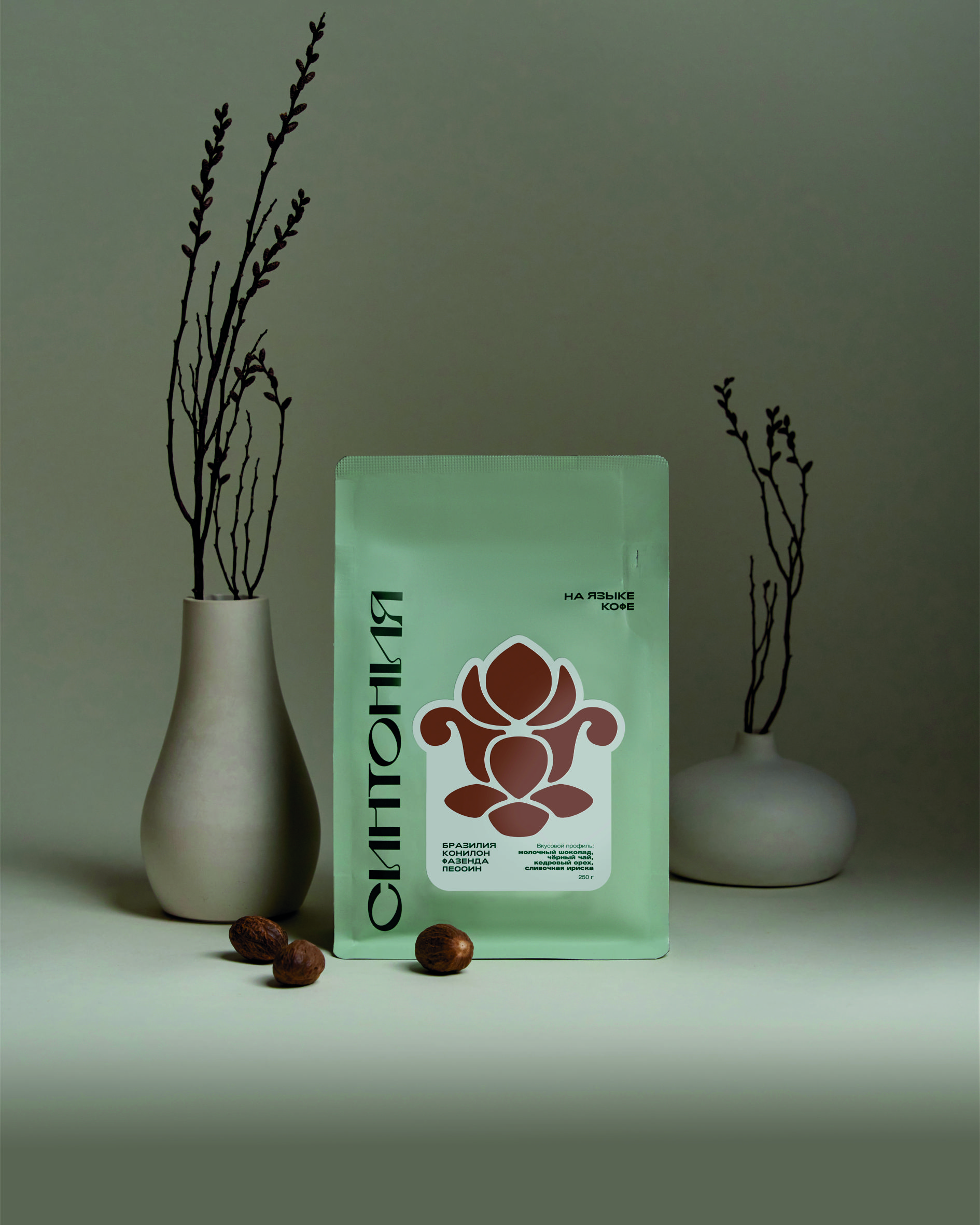 Бразилия Конилон Фазенда Пессин