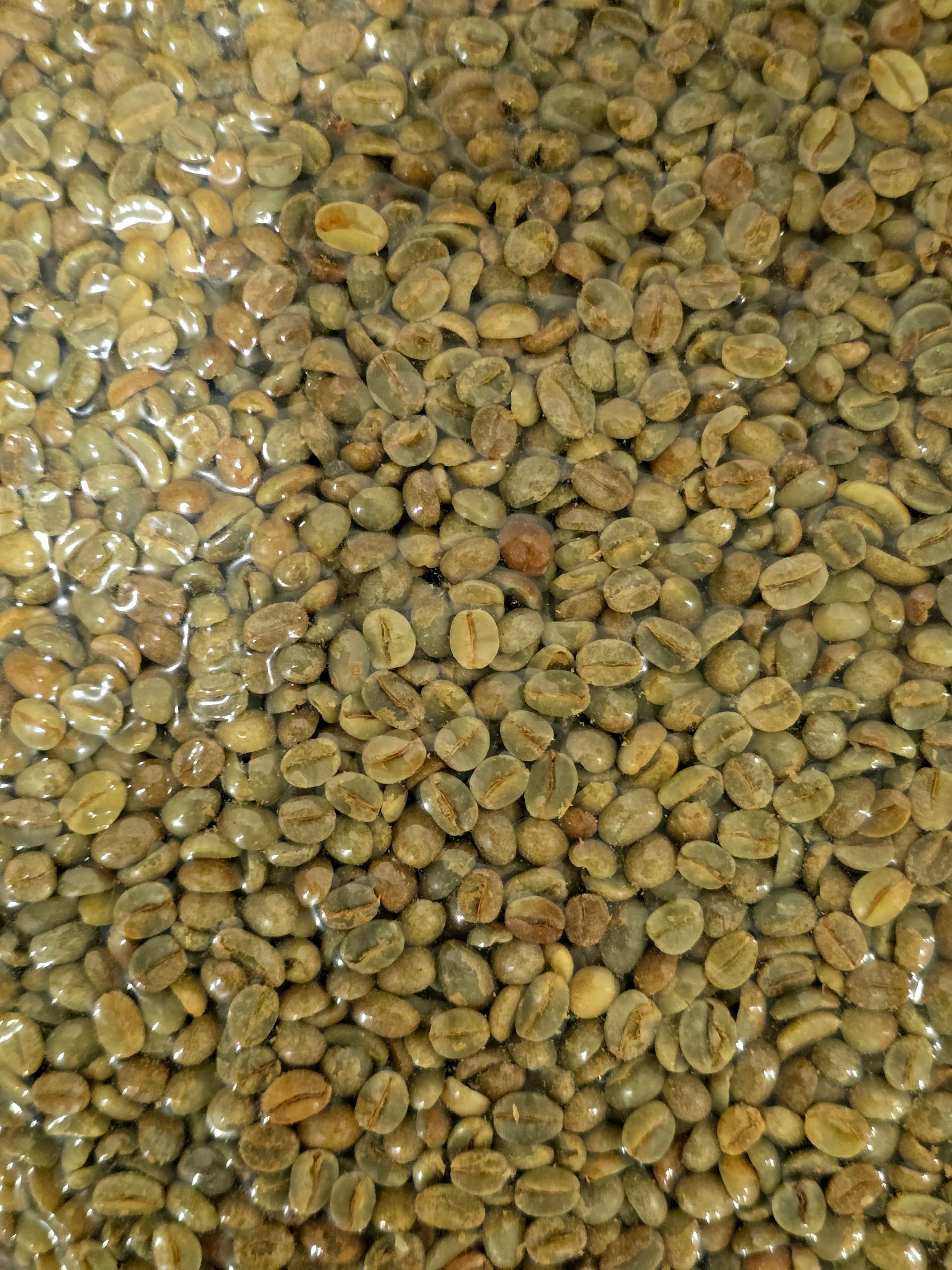 Удаини Аль Хайма Анаэробный