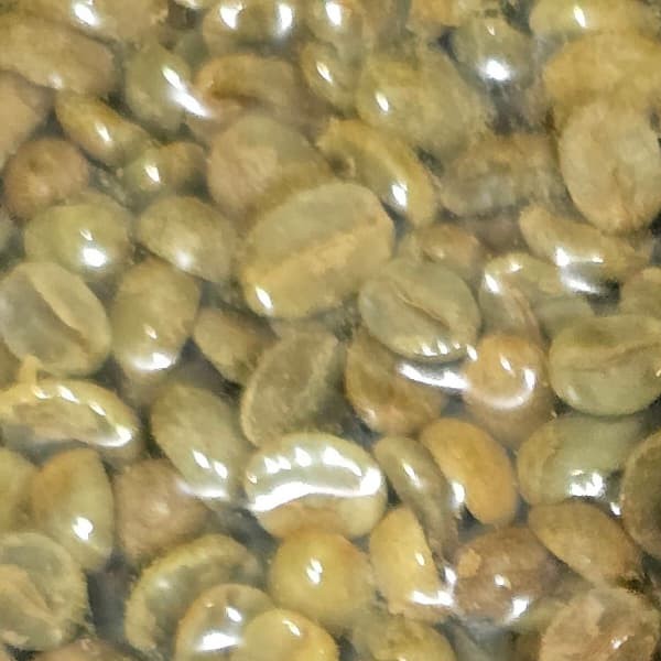 Удаини Аль Хайма Анаэробный