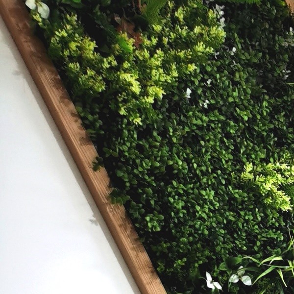 Искусственные растения