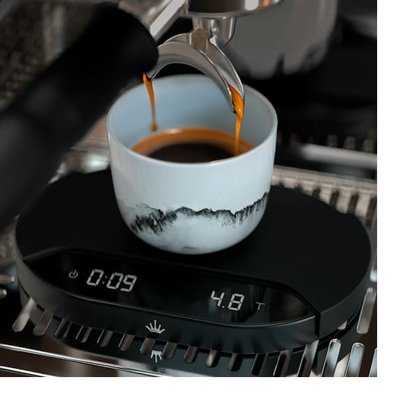 Mahlkoenig весы SYNC