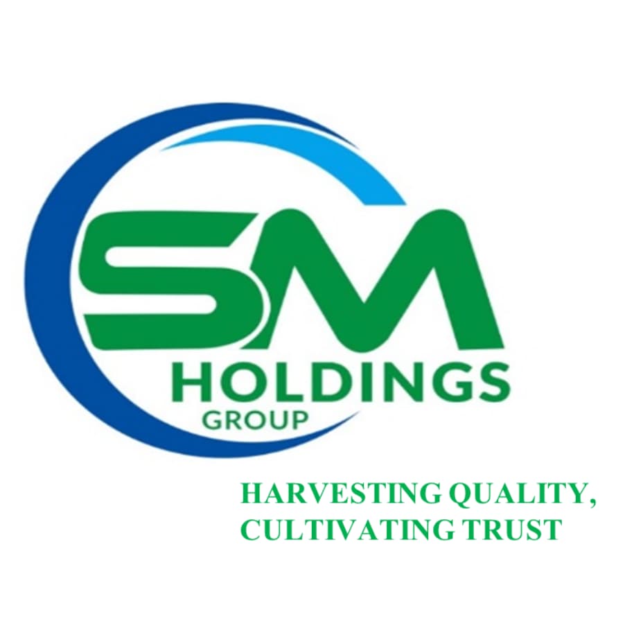 S.M. HOLDINGS LTD
